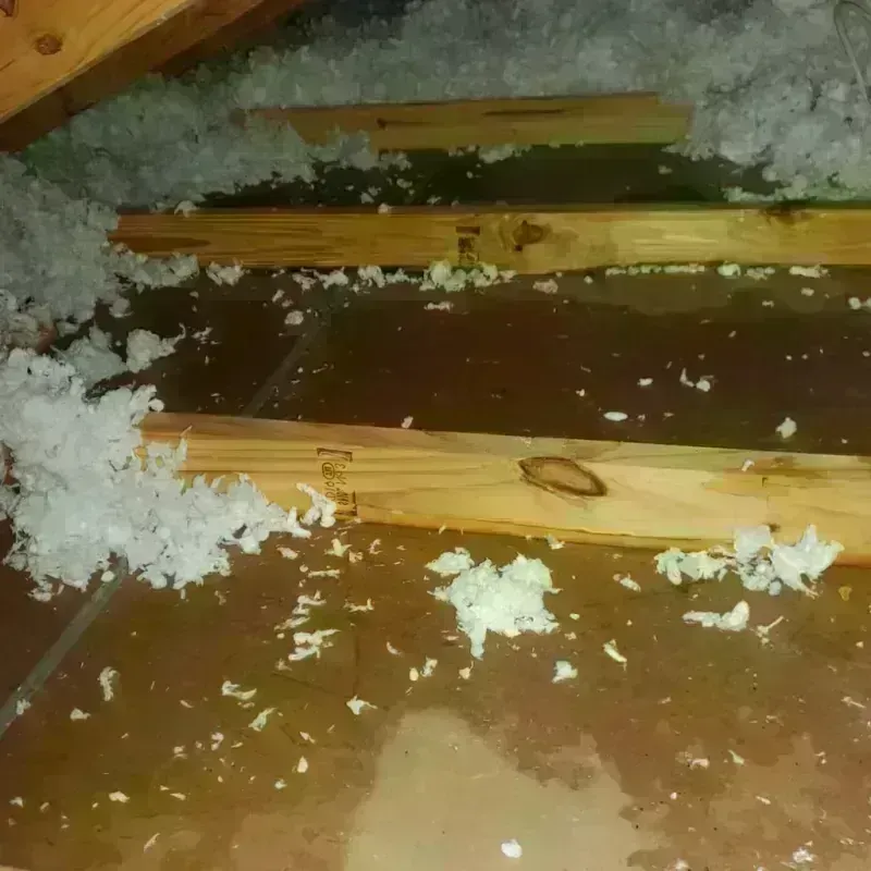 Attic Water Damage in New Palestine, IN