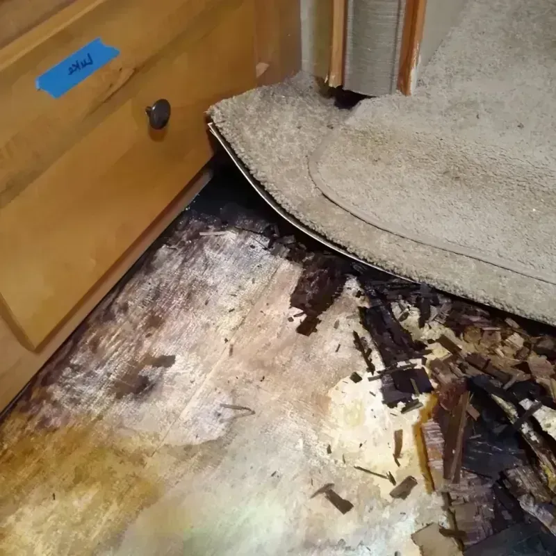 Best Wood Floor Water Damage Service in New Palestine, IN